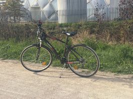VTC 28'' Woodsun Seventies Homme Aluminium