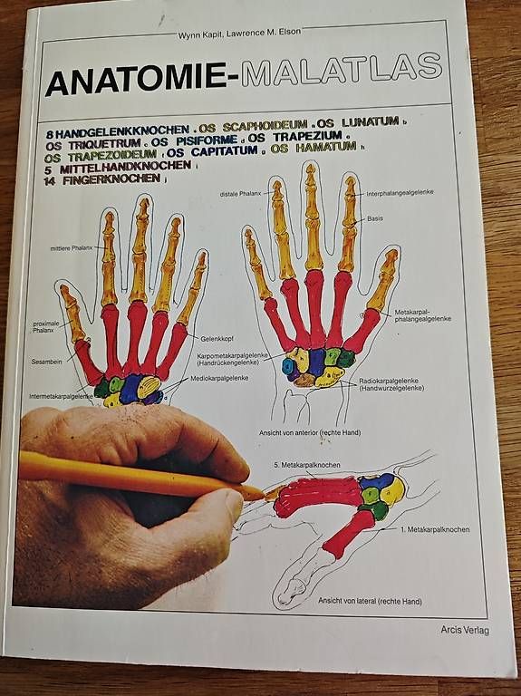 Libri: Anatomie-Malatlas – Usato da Oberengstringen venduto da dalisiana
