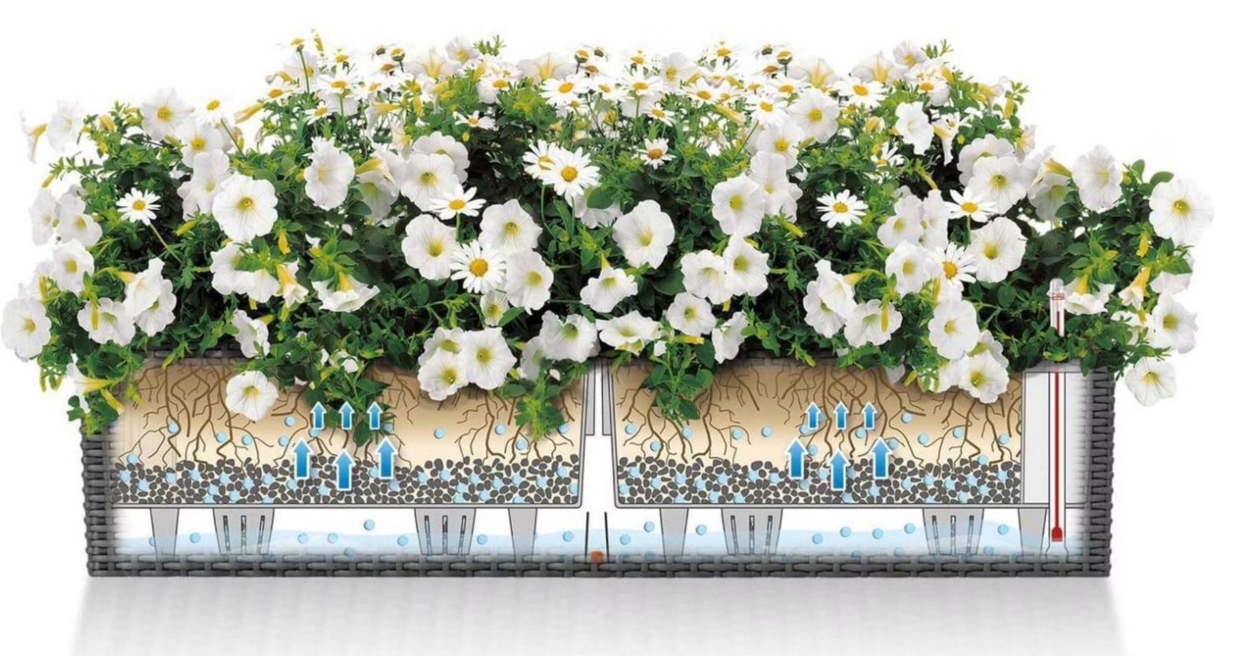 Lechuza Vasi per fiori: Lechuza Balconera Cottage – Usato da Langendorf venduto da bluefreezer 1