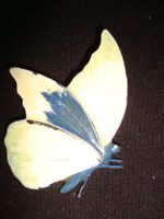 Schmetterlings Brosche