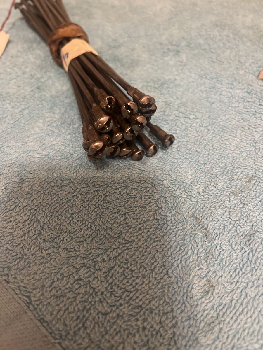 Sachs Accessori per altri veicoli: Speichen länge 168mm Durchmesser 2.66mm – Usato da Fahrni b. Thun venduto da Bergers_occasionen 1