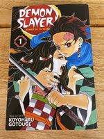 Demon Slayer Band 1 EN