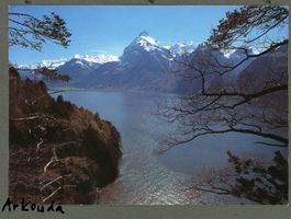 AK col Vierwaldstättersee UR Gitschen Urirotstock ≈ 1991 
