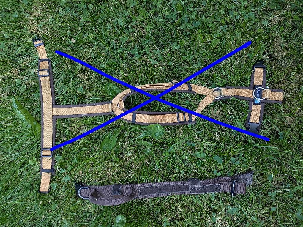 Guinzagli & Collari: Hunde-Halsband breit – Usato da Wetzikon ZH venduto da Pa.Re