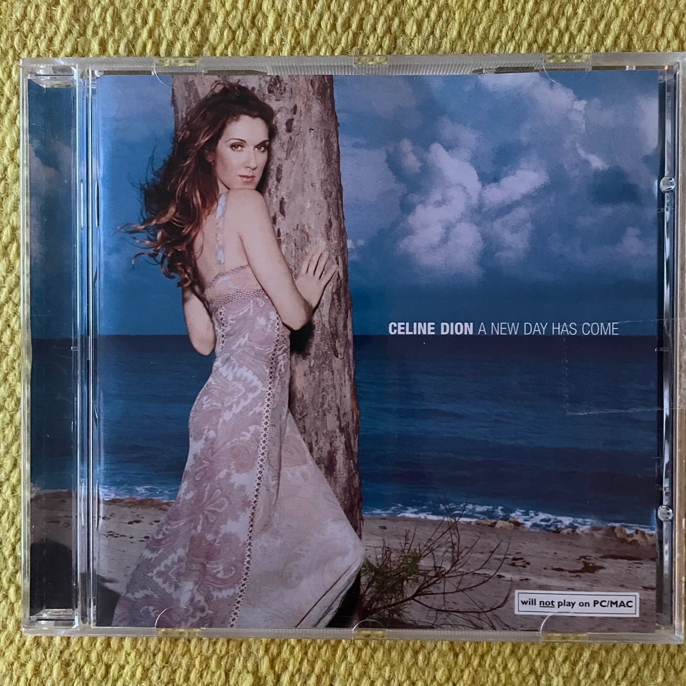 CD: CÉLINE DION-A NEW DAY HAS COME – Usato da Rorschacherberg venduto da CD-Roli