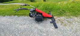 zu verk.Motormäher Reform 206