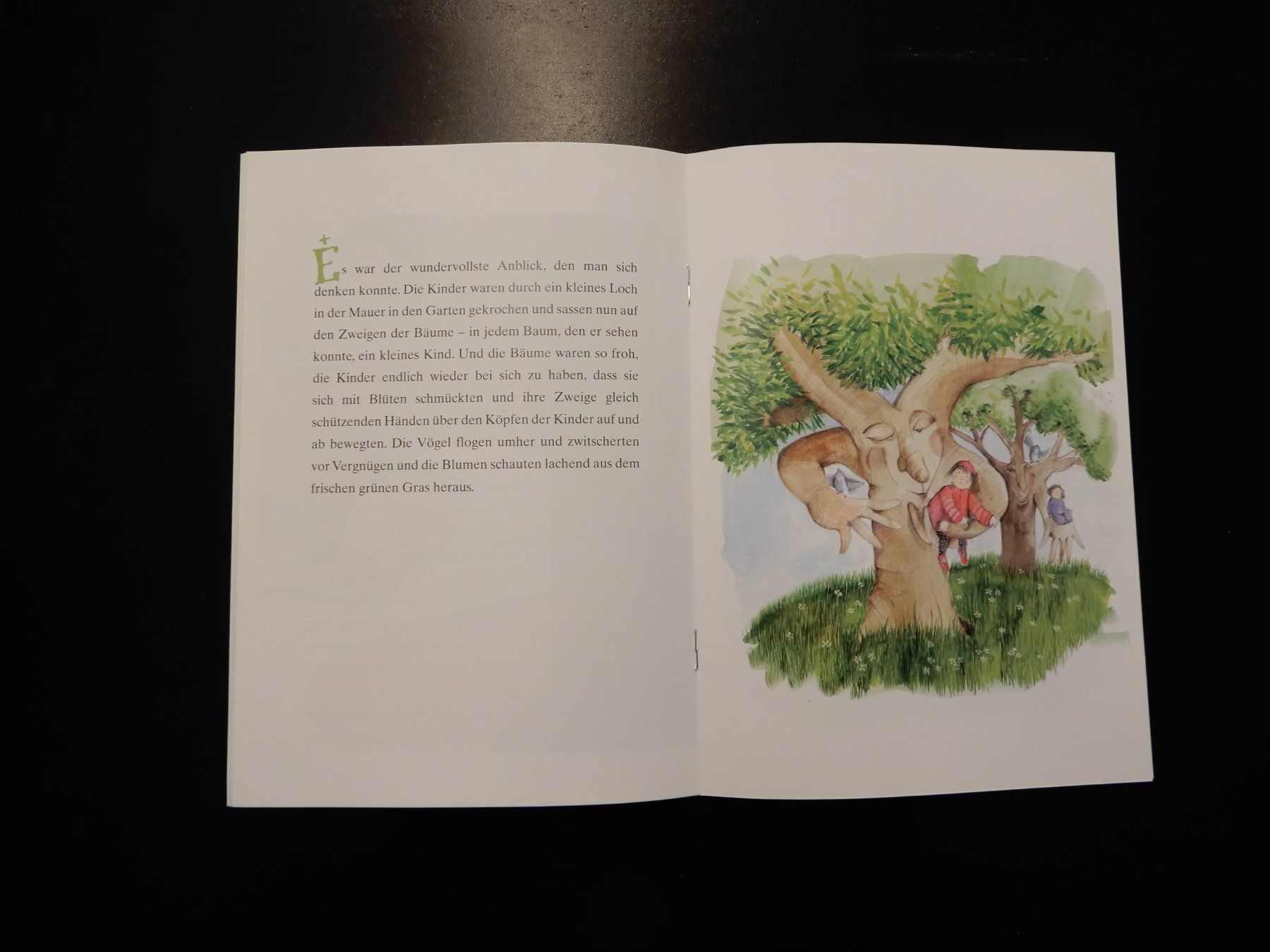 Libri: Der selbstsüchtige Riese - Kinderbuch – Usato da Erstfeld venduto da Mario_boe0 7