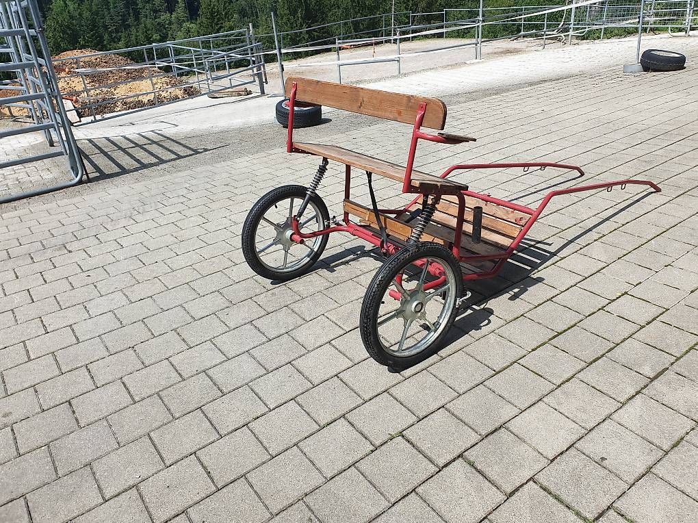 Carrozze: Ponywägeli – Usato da Herisau venduto da hrs_9cbp 2