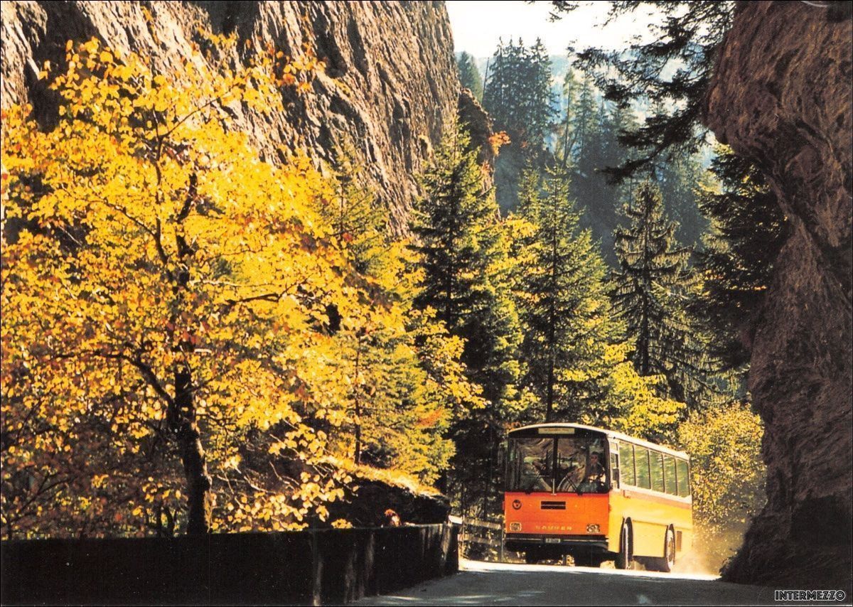 Cartoline postali: Postauto // Saurer Viamala // Bus – Usato da Basel venduto da intermezzo12