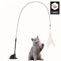 Jouet pour chat