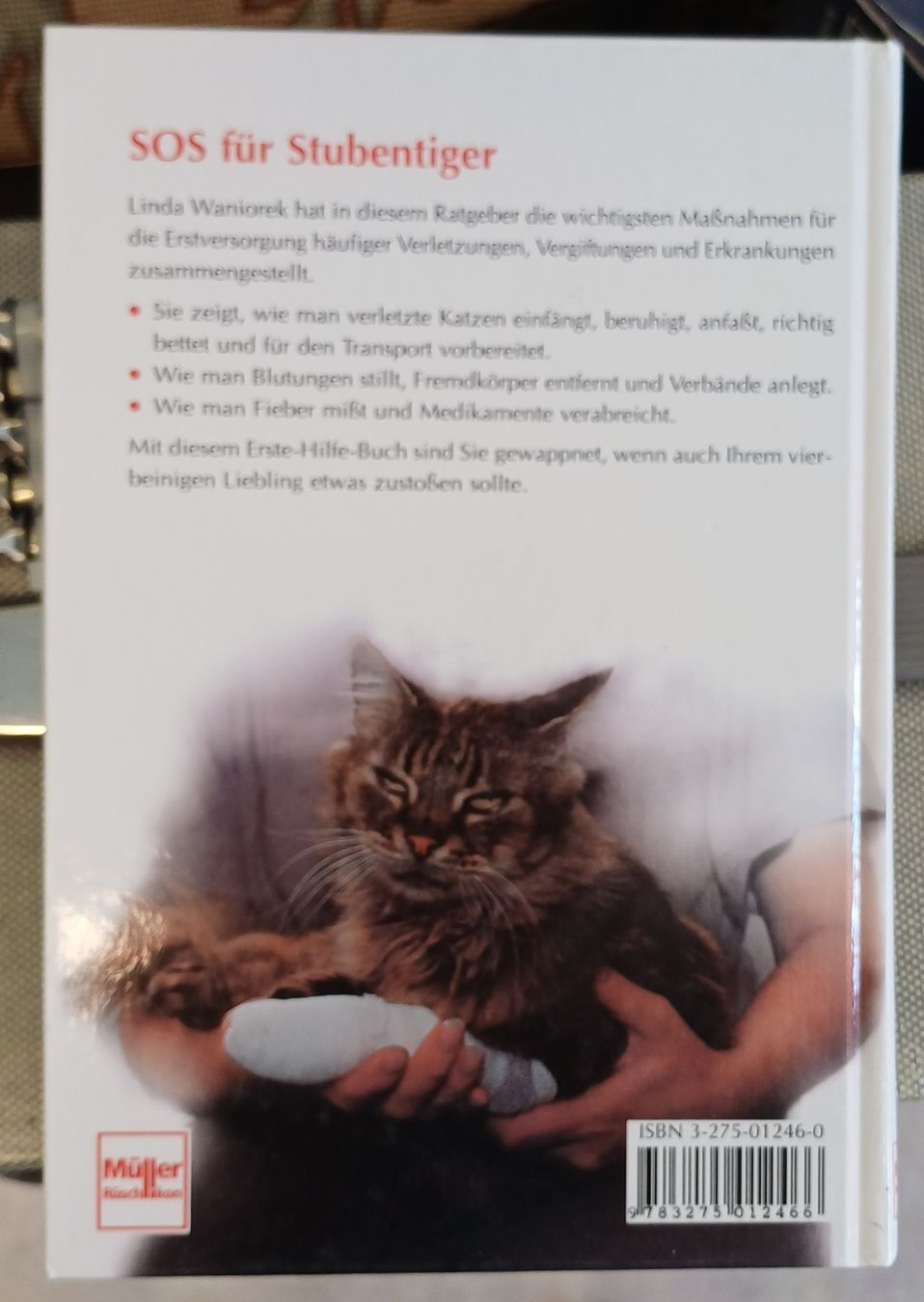 Bücher: 6 Bücher über Katzen – Gebraucht aus Merenschwand von Brockinell 6