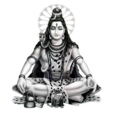 Profile image of Shankar