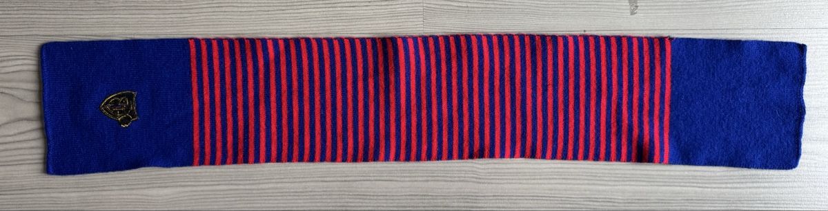 FC Bâle Foulards & écharpes: Fc Basel Schal – D'occasion à Lenzburg par Meister_k 1