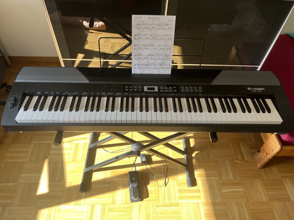 Strumenti musicali: Digital Piano Thomann DP26 – Nuovo (secondo la descrizione) da Zürich venduto da far_2zpy 1