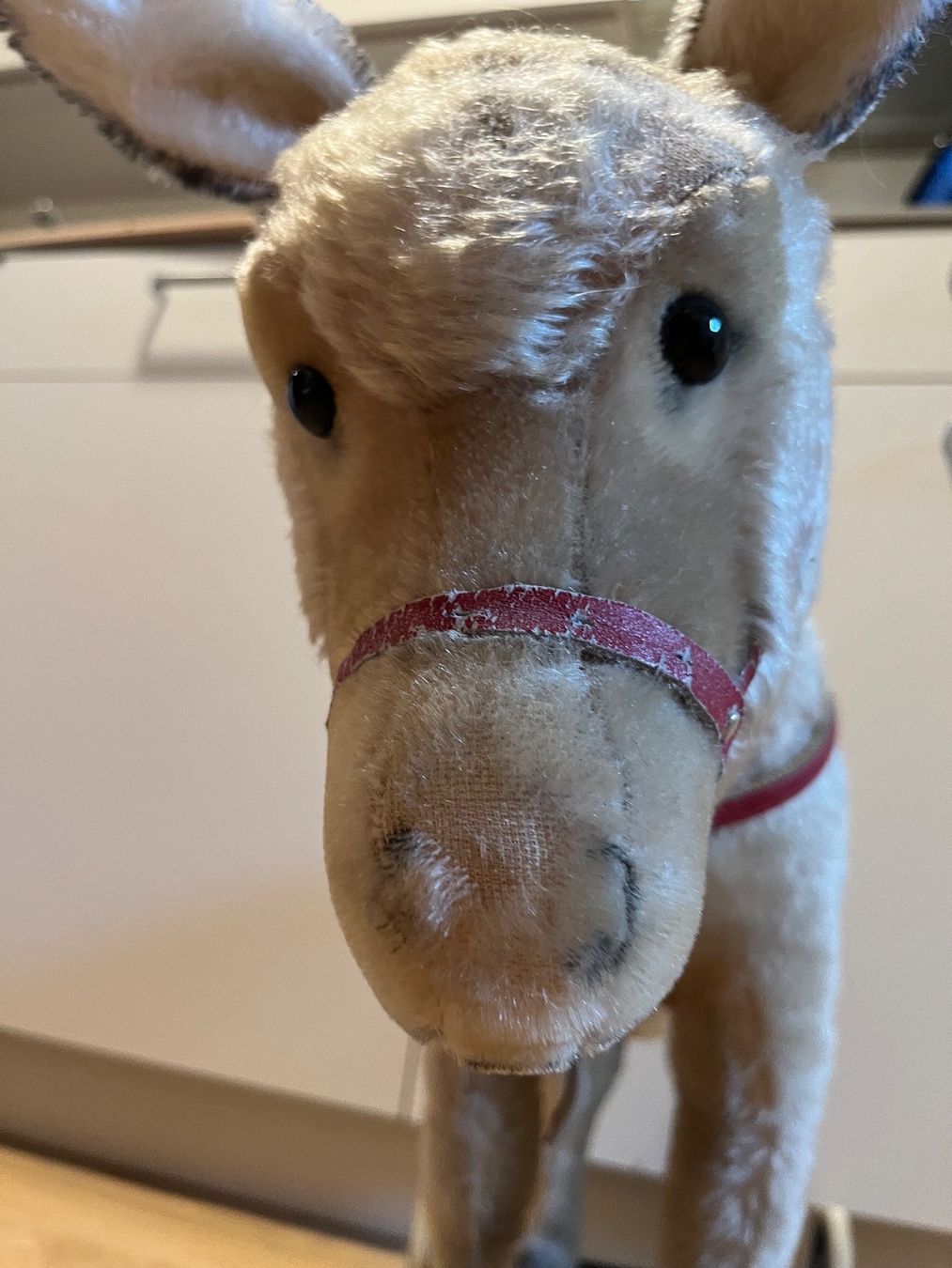 Steiff Spielzeuge: Steiff Rädertier ESEL, Mohair, Stimme, herzig – Gebraucht aus Winkel von Tongabonga 2