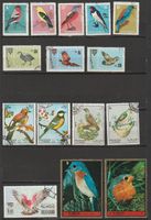 Oiseaux occasion