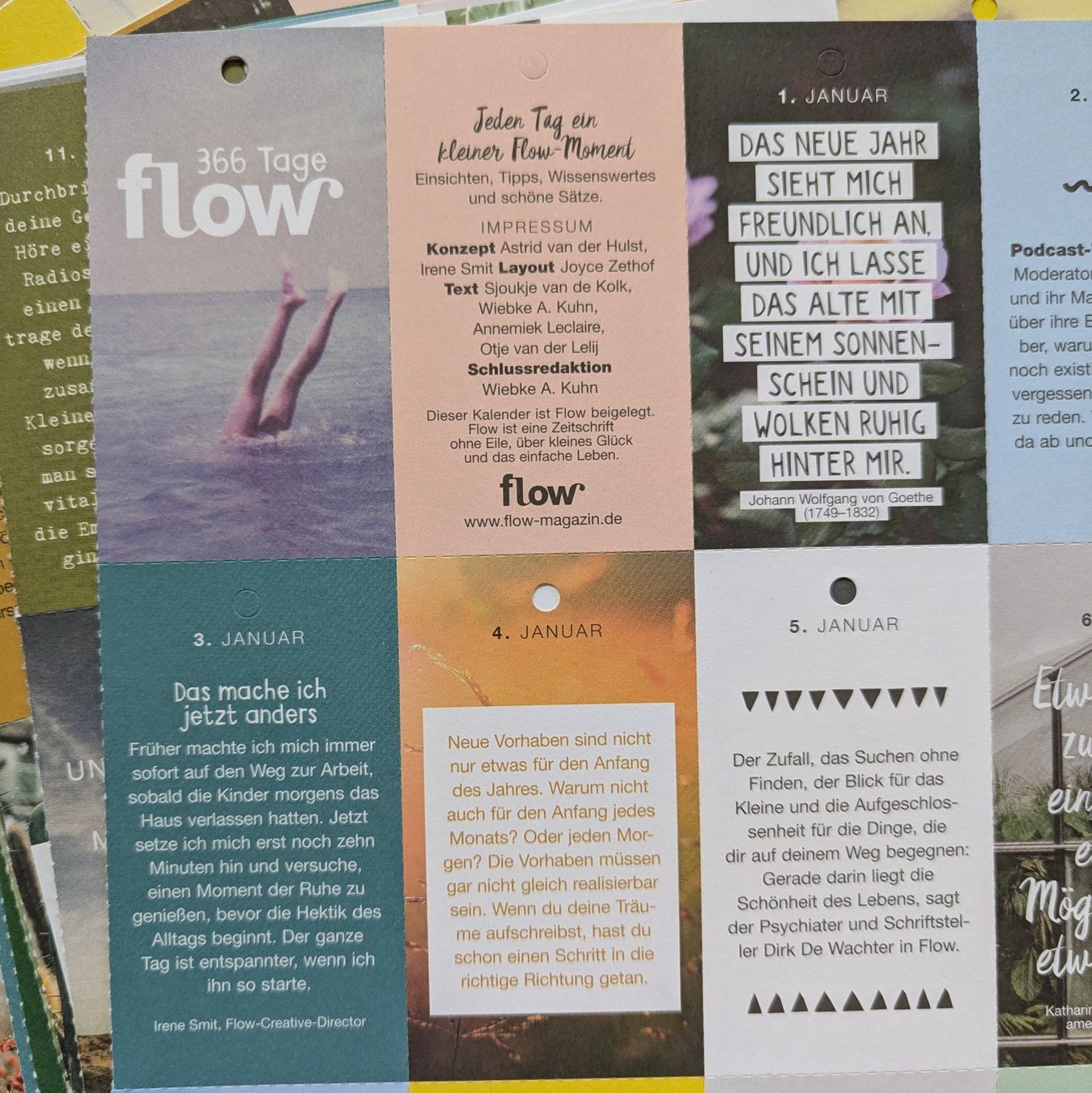 Kalender: FLOW 365Tage Kalender – Neu (gemäss Beschreibung) aus Bertschikon Gossau von Tokibunny 1