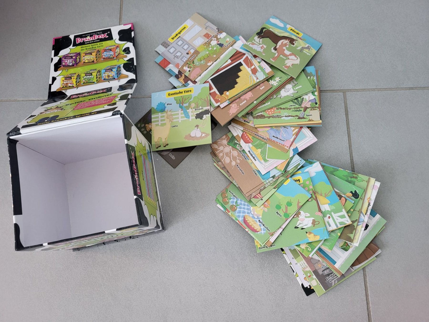 Spiele: Spiel BraineBox Kinder ab 4 J – Gebraucht aus Boswil von i12i 1