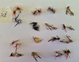 32 Stück Nymphe Trockene+ Nass Fliege