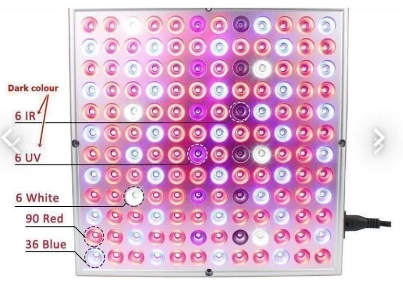 Lampade: LED Grow Light LED Pflanzenlampe – Nuovo e nell'imballaggio originale da Amriswil venduto da Ravinvida 8