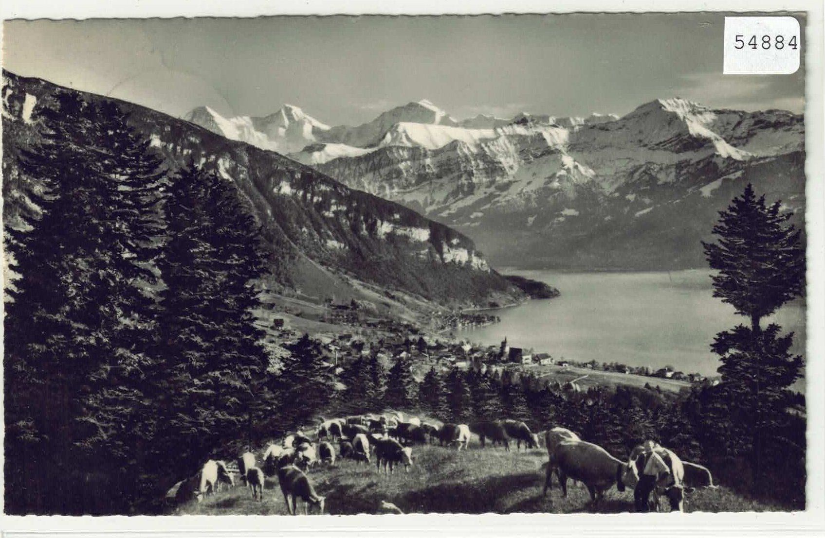 Cartoline postali: Sigriswil - Kuhherde – Usato da Ettingen venduto da Kartenplanet