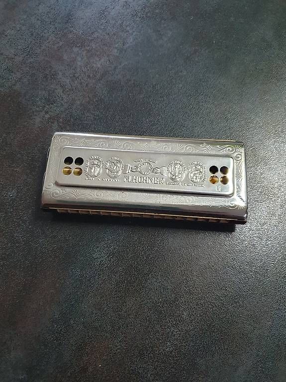 Strumenti musicali: The Echo Harp M.Hohner – Usato da Rieden AG venduto da Wirth03 1