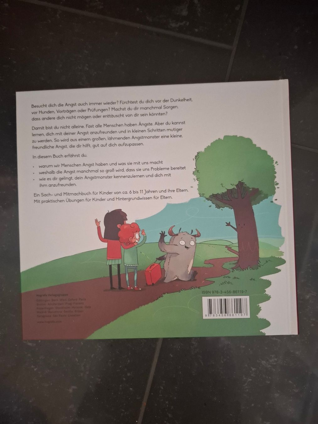 Libri: Buch "Huch, die Angst ist da" – Nuovo (secondo la descrizione) da Uezwil venduto da VogelK 1
