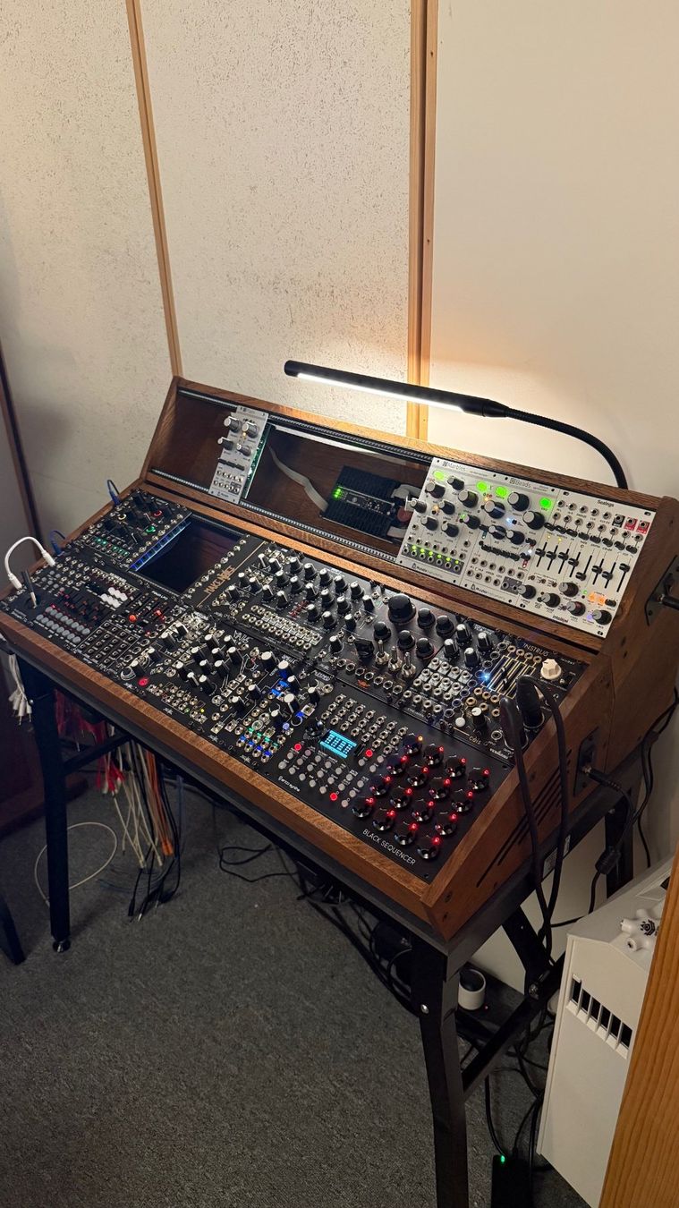 Musikinstrumente: Modular Case von 2 many Synths – Gebraucht aus Niederglatt ZH von Bluevortex 3