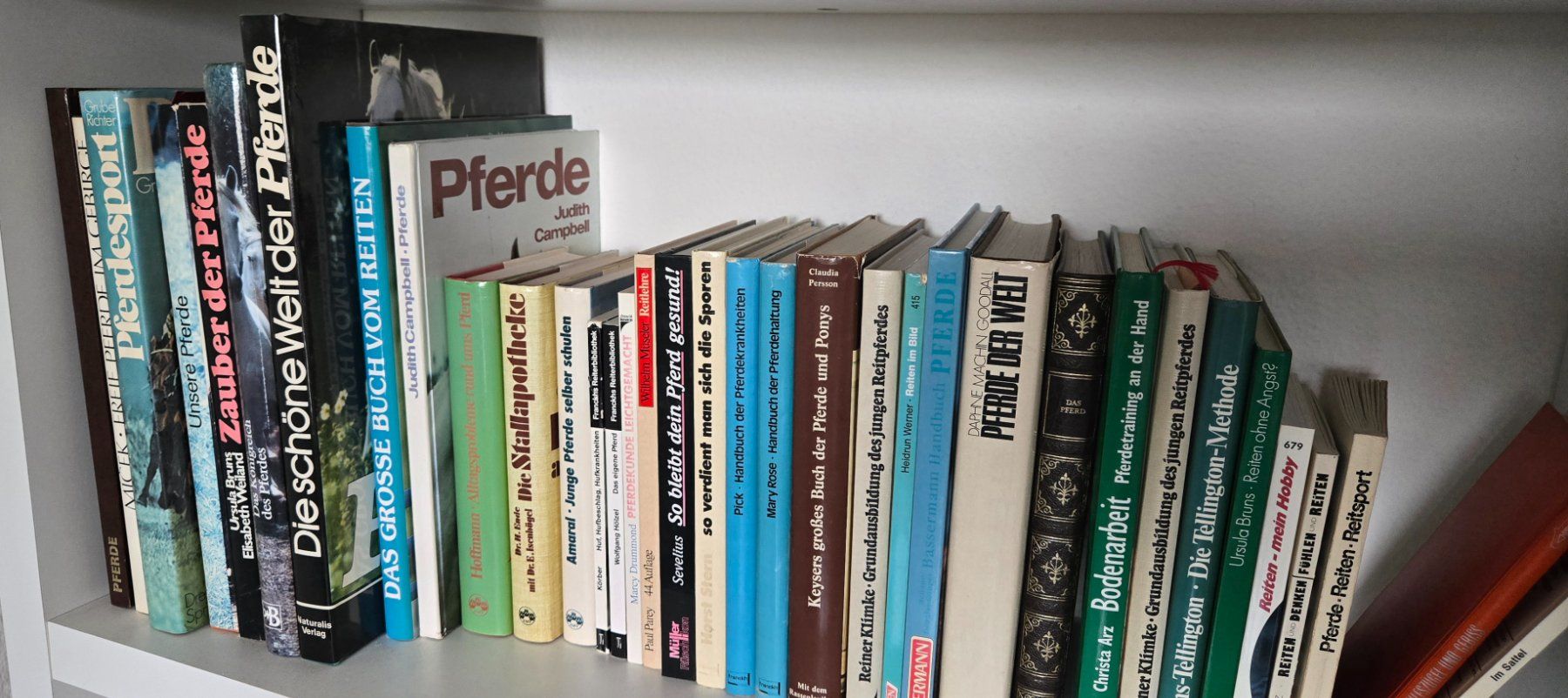 Libri: 70cm Reitsport und Pferdefachbücher – Usato da Adlikon b.Regensdf venduto da YvZi 1