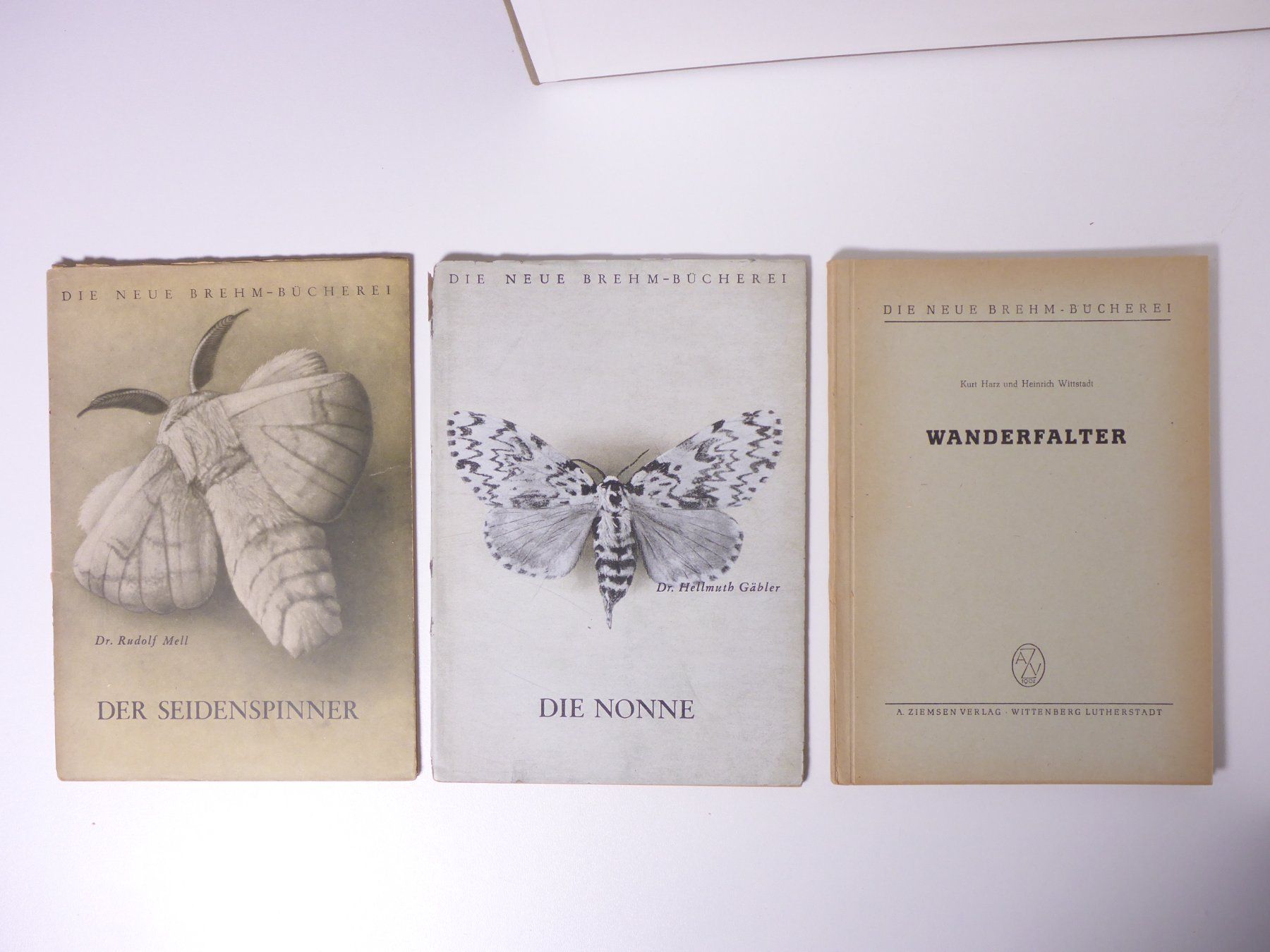 Livres: Konvolut. Schmetterlinge 9 Titel – D'occasion à Erschwil par taglang 3