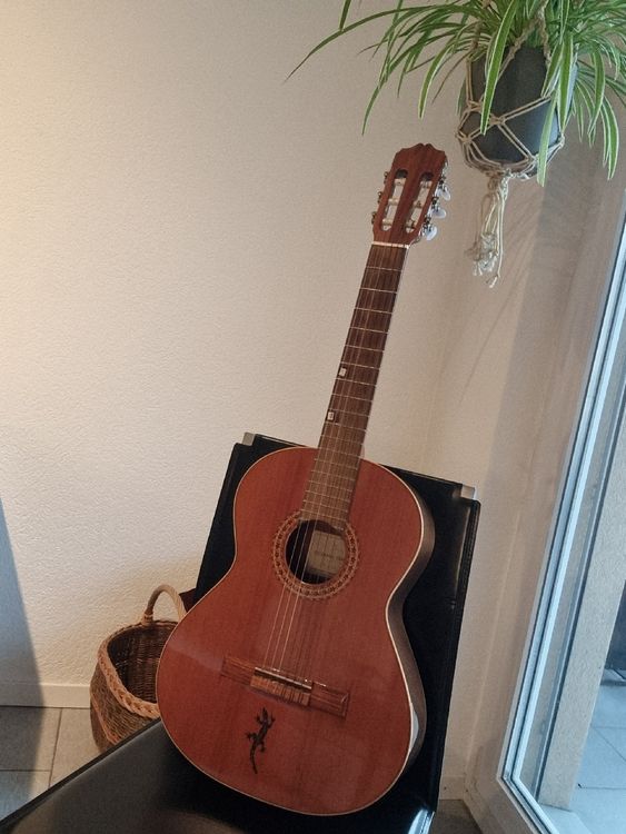 Gitarre Kaufen Auf Ricardo