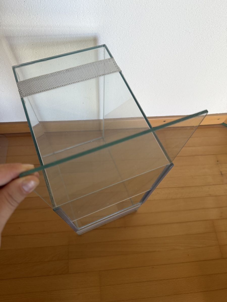 Terrario: Terrarium – Nuovo (secondo la descrizione) da Gals venduto da lauracorinamader 3