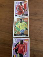 Panini Sticker