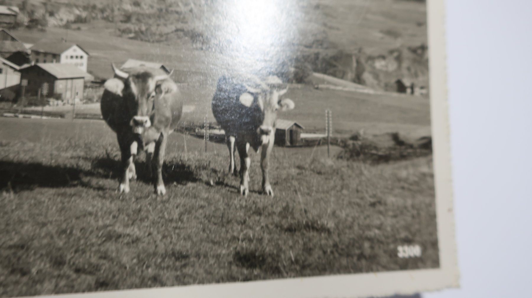 Cartoline postali: Villa mit Signinagruppe – Usato da Cormoret venduto da Pascalll2001 5
