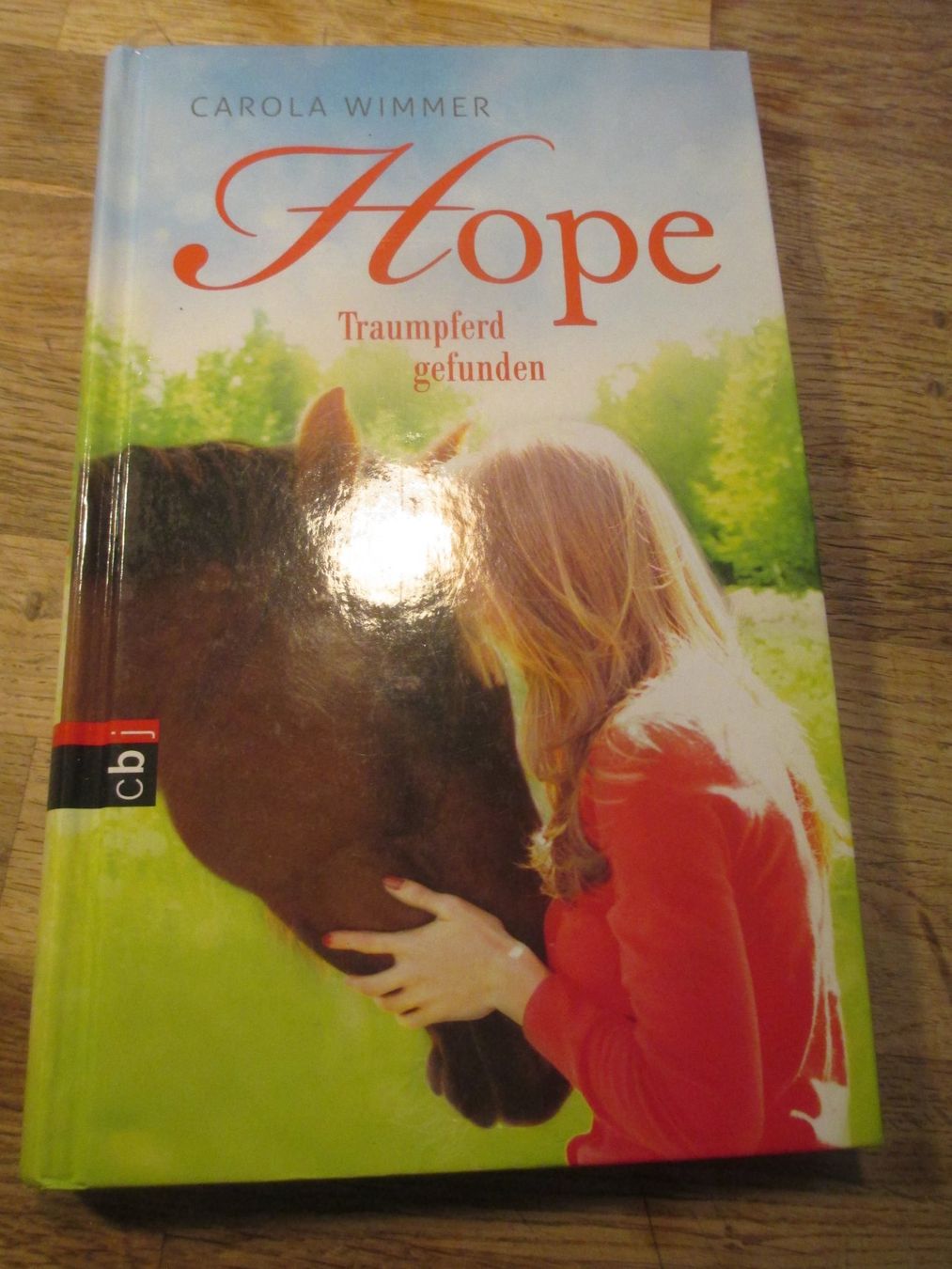 Libri: Buch " Hope Traumpferd gefunden " – Usato da Hasle LU venduto da Flamme6