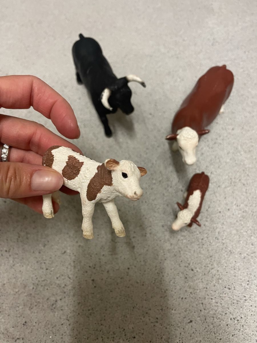 Schleich Statuette: Schleichkühe – Usato da Walchwil venduto da Pirib82 1
