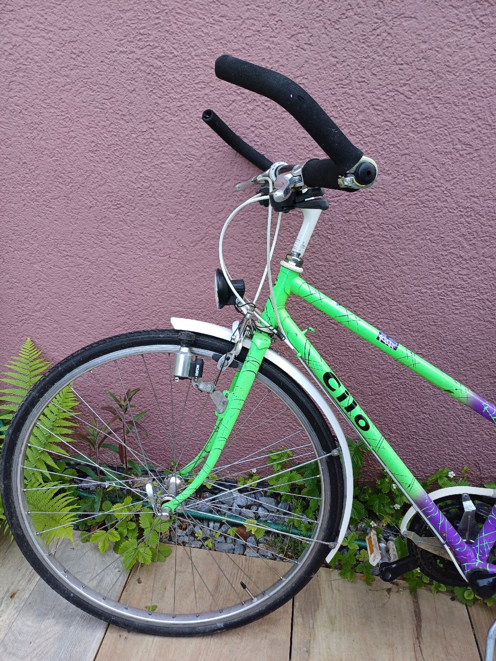 Cilo Biciclette: Cilo Vintage Velo – Usato da Zürich venduto da Avocadokern 1