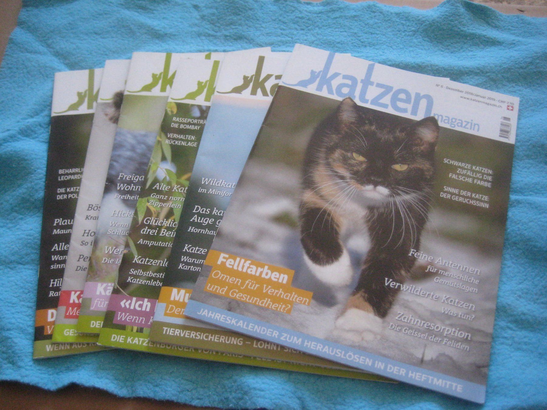 Riviste & Magazine: KATZEN HEFTEN  MAGAZIN – Usato da Uster venduto da flocke1