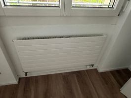 10 Stück Heizkörper Radiatoren top Zustand!