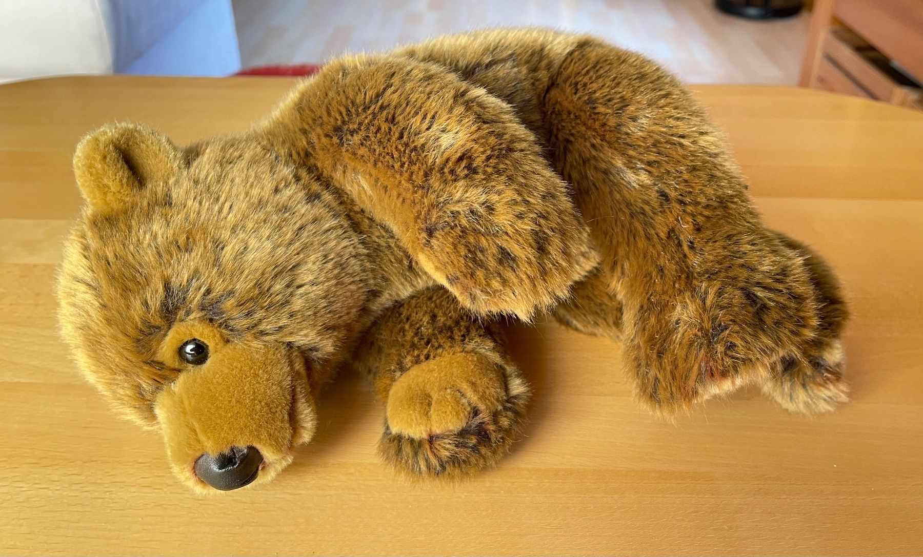 Il mondo degli animali: Plüschtier "Braunbär", Neu – Nuovo (secondo la descrizione) da Kriens venduto da Angie88 3