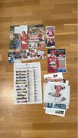 Lot F1 Ferrari  formule 1 + M. Schumacher collection