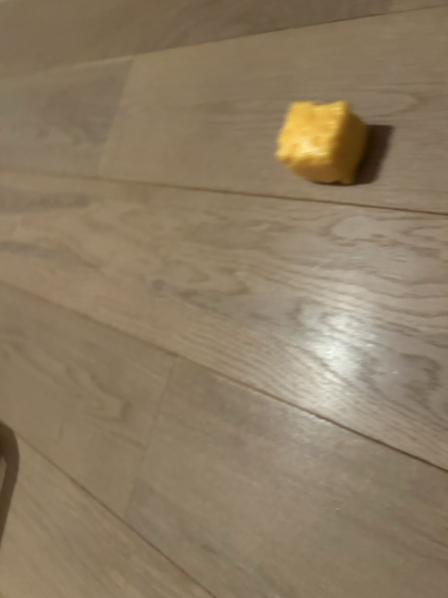 Jouets: Käse Squischi  – Neuf (Voir description) à Samstagern par mini22 1