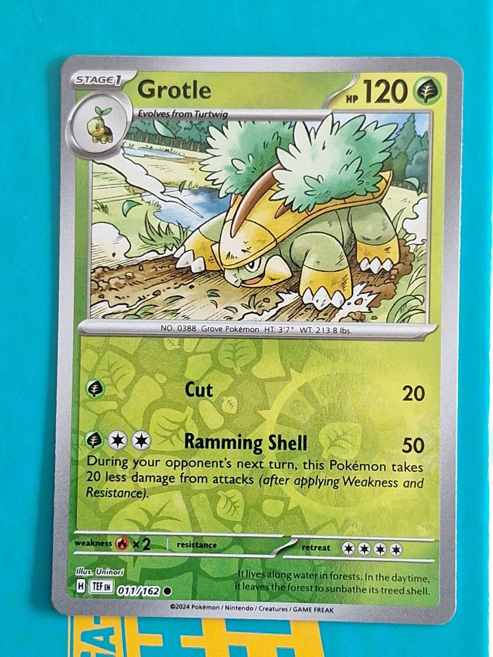 Pokémon Carte collezionabili: Grotle - Pokemon Temporal Forces Reverse Holo - #2.6 – Usato da Altstätten SG venduto da GGsGameshop
