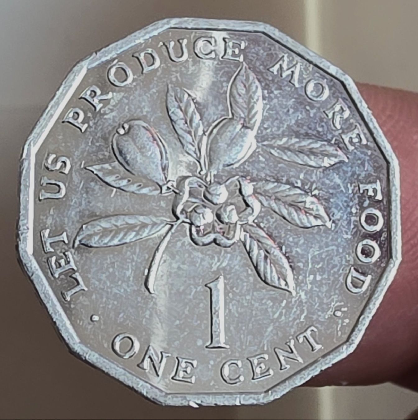 Tutti le monete: JAMAICA 1 CENT 1980 – Usato da winterthur venduto da CoinPassion