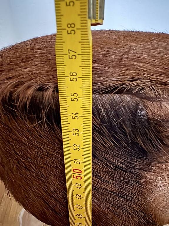 Sgabelli: Holzhocker mit Fell  gemütlich & dekorativ  CHF 50 – Usato da Winterthur venduto da Pluna70 2