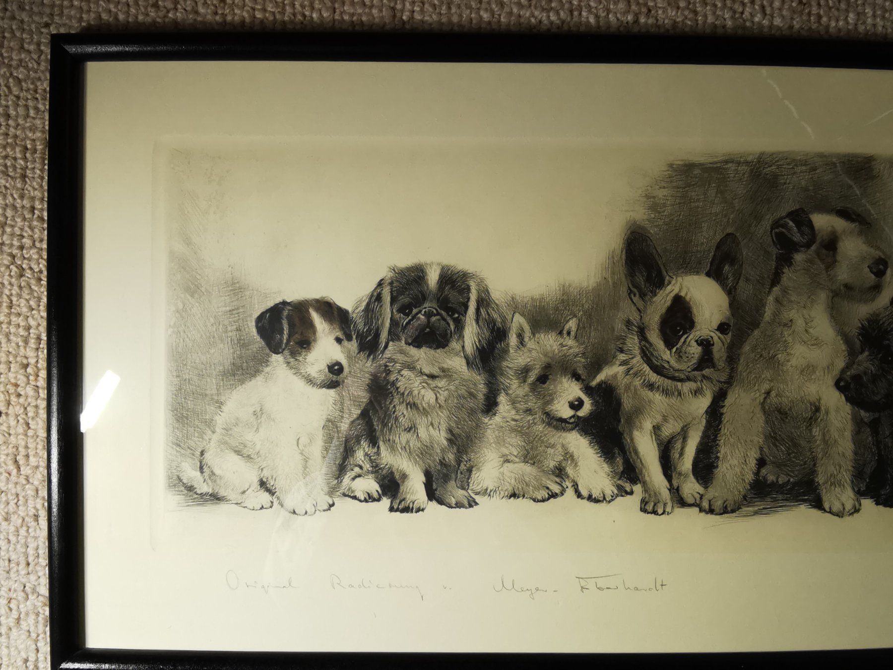 Grafica & Litografie: Hundewelpen, Original-Radierung von Kurt Meyer-Eberhardt – Usato da Dübendorf venduto da aschiduebendorf 4
