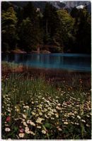 Kandergrund - Blausee
