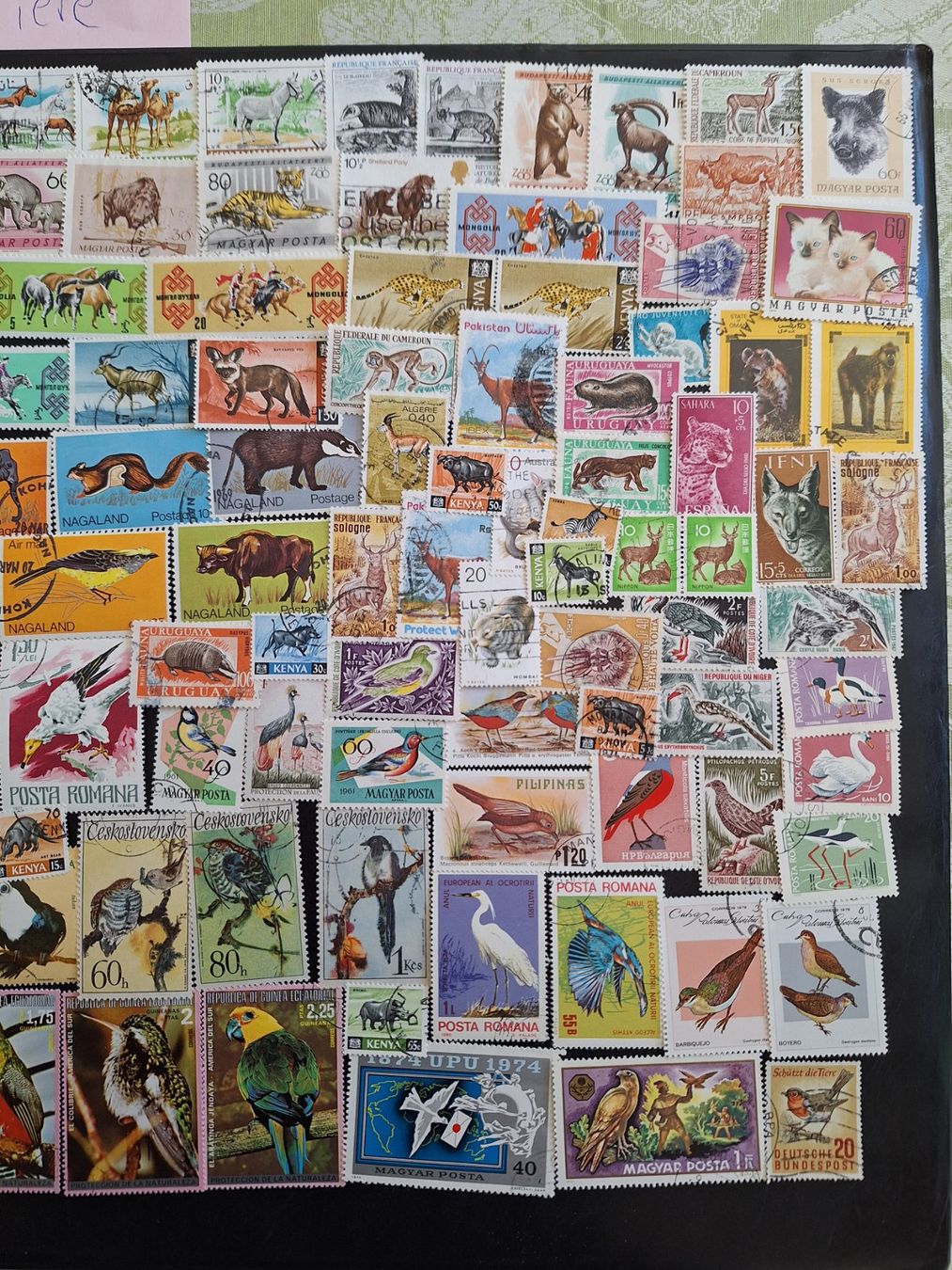 Tutti i francobolli: Grosse Vögel und Tiere-Sammlung – Usato da Genolier venduto da Antoine30 3