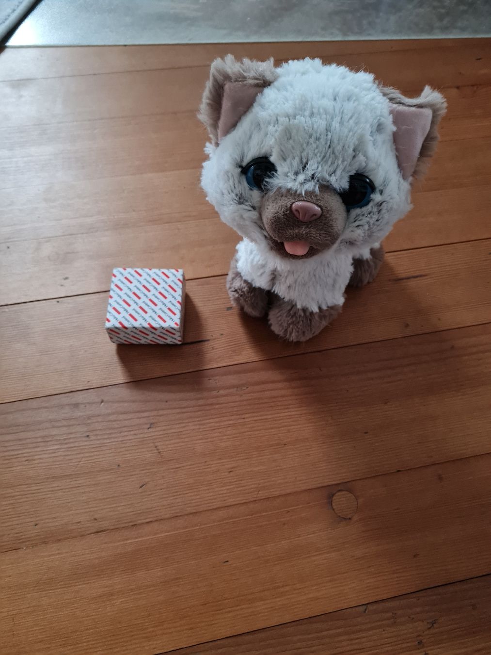 Jouets:  Katze Elektronisch mit Futter – D'occasion à Würenlos par Dodo7