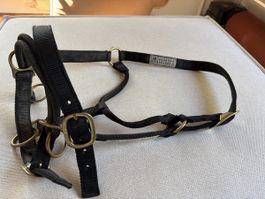 Dually Monty Roberts Halfter WB Join Up Verladehilfe schwarz